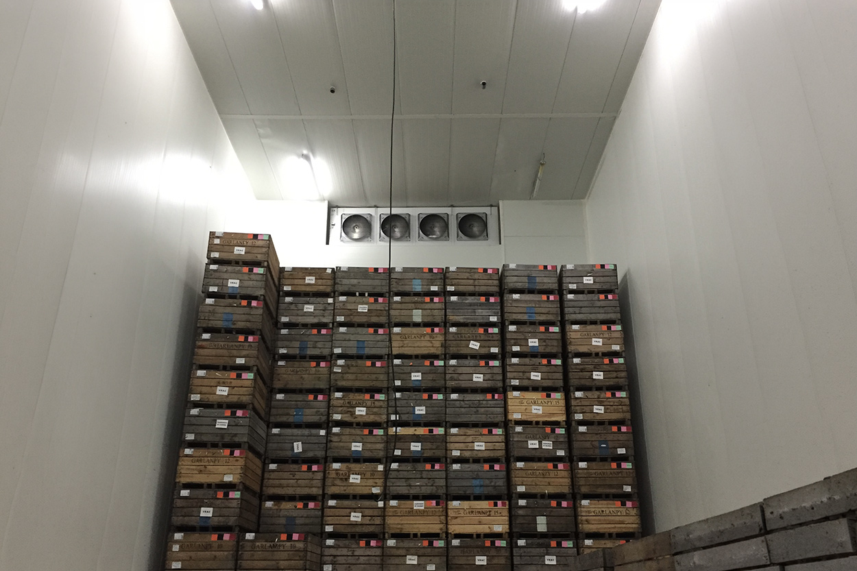 Climatisation 64, Climatisation Estibeaux, Climatisation Landes, Dépannage chambre froide 64, Dépannage chambre froide Estibeaux, Dépannage chambre froide Landes, Études et dimensionnements 64, Études et dimensionnements Estibeaux, Études et dimensionnements Landes, Frigoriste 64, Frigoriste Estibeaux, Frigoriste Landes, Froid agroalimentaire 64, Froid agroalimentaire Estibeaux, Froid agroalimentaire Landes, Froid commercial 64, Froid commercial Estibeaux, Froid commercial Landes, Froid industriel 64, Froid industriel Estibeaux, Froid industriel Landes, Installation chambre froide 64, Installation chambre froide Estibeaux, Installation chambre froide Landes